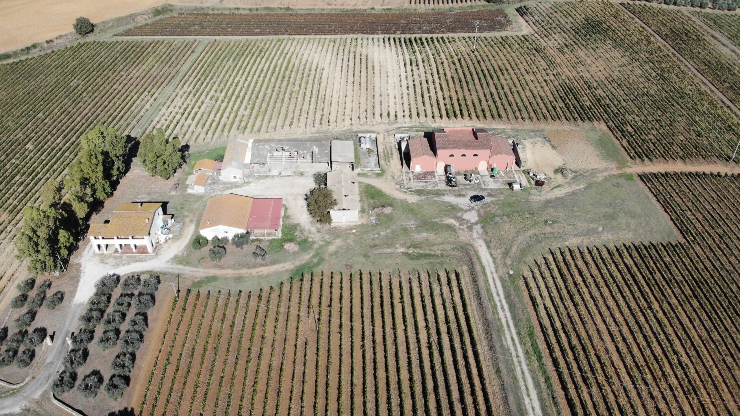 created by dji camera