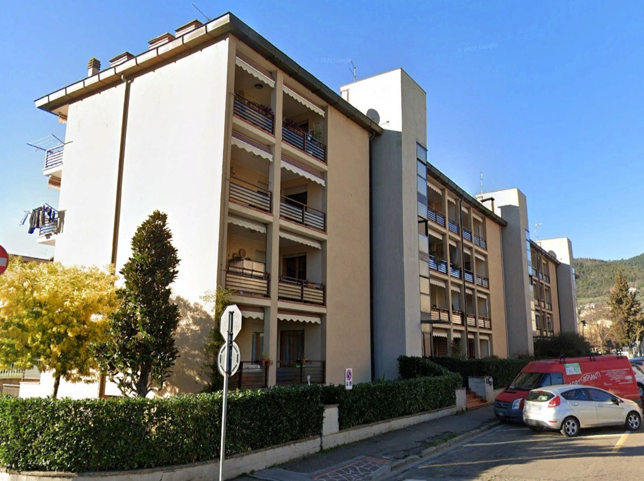 pellico 2