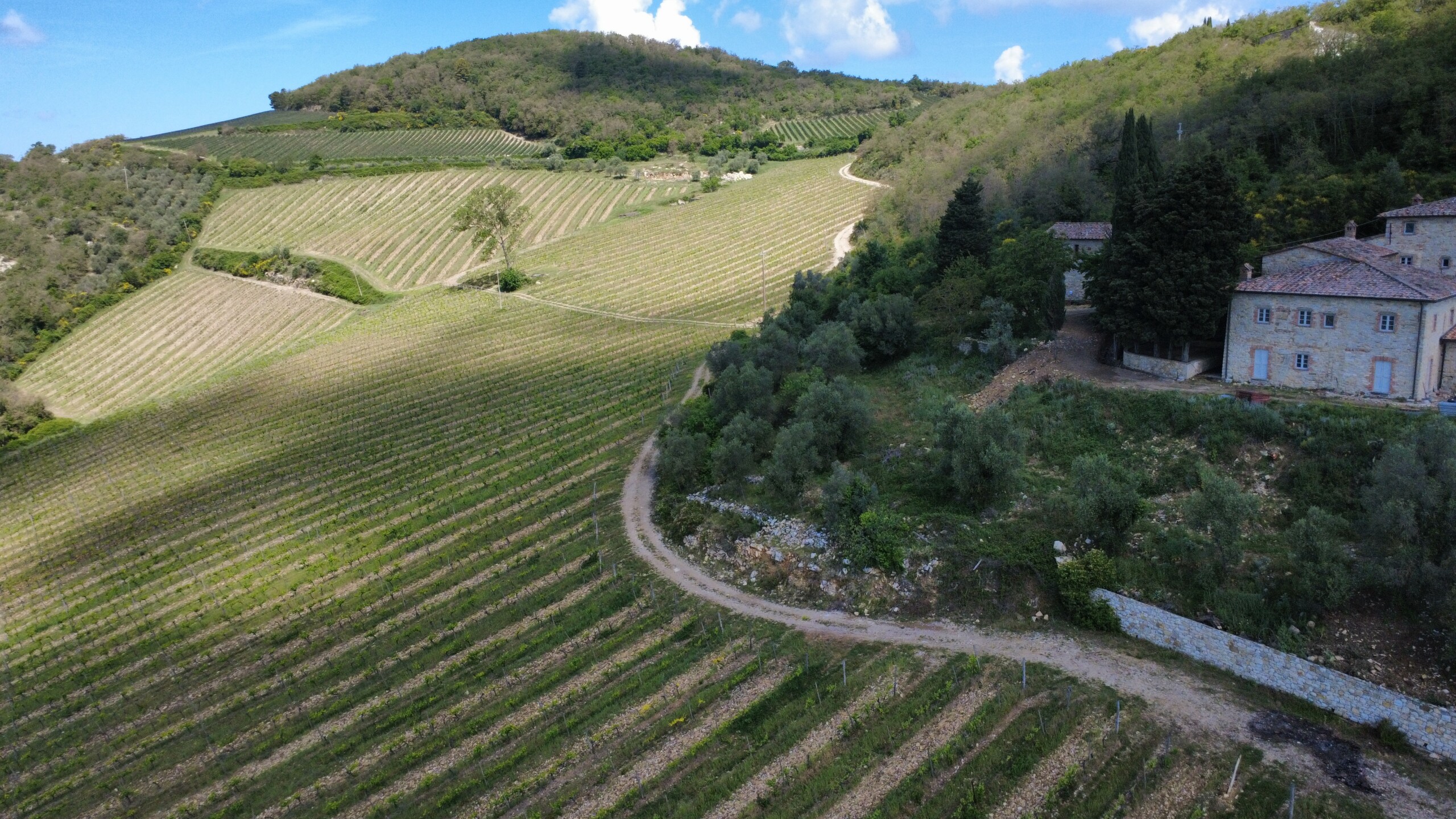 dji_fly_20260509_111544_295_1778318209324_photo_optimized