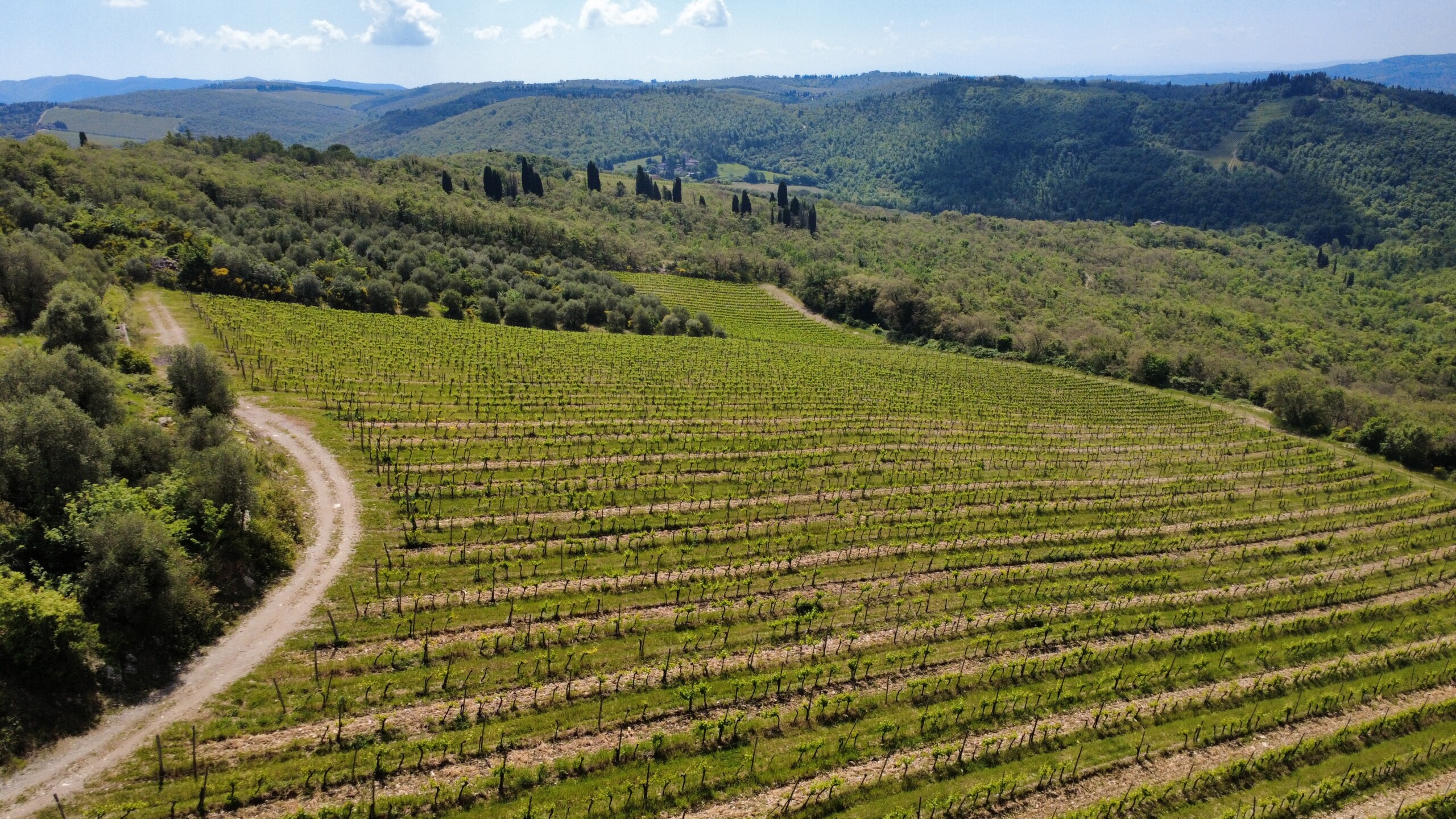 dji_fly_20260509_113832_340_1778319847740_photo_optimized
