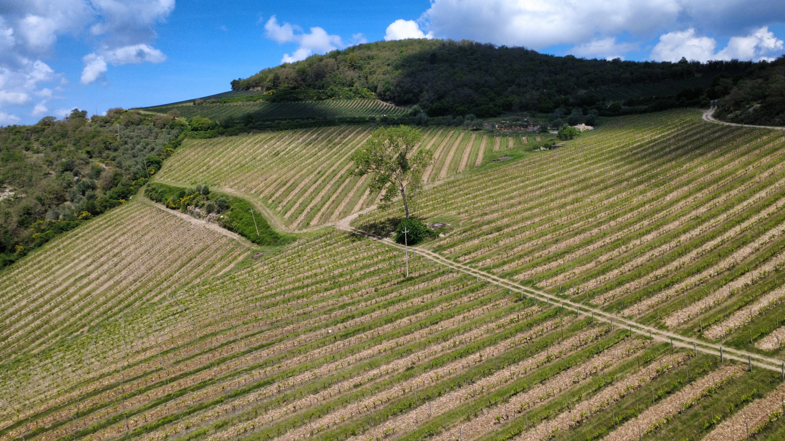 dji_fly_20260509_113846_342_1778319857588_photo_optimized